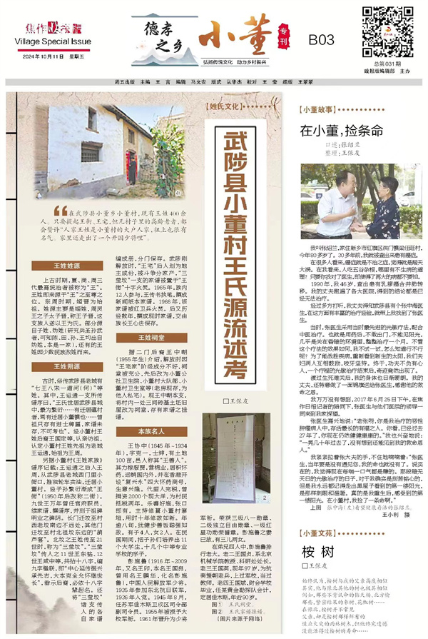 第31期