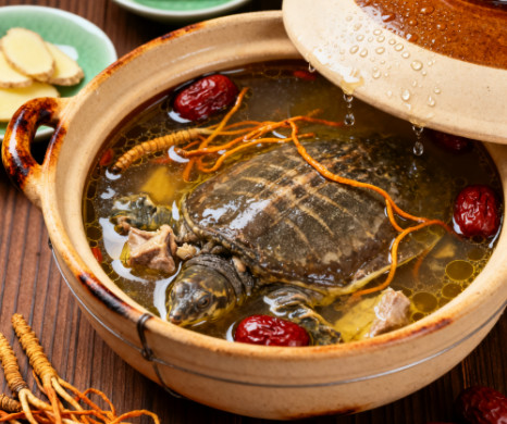 蛹虫草大枣炖甲鱼 蛹虫草大枣炖甲鱼