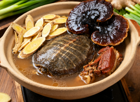 黄芪灵芝炖龟肉 黄芪灵芝炖龟肉